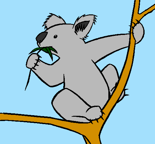 Coloring page Koala painted byIvy