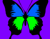 Coloring page Butterfly with black wings painted bycami