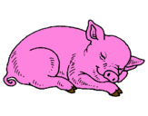 Coloring page Sleeping pig painted bymoshi count