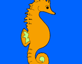 Coloring page Sea horse painted bychloe