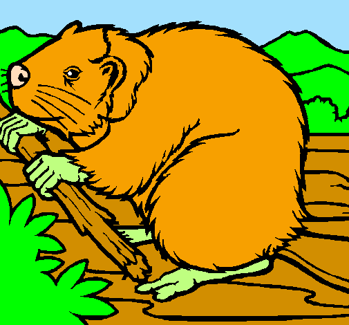 Coloring page Beaver  painted byMaria