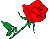 Coloring page Rose painted byLUISA
