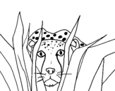 Coloring page Cheetah painted bylpy