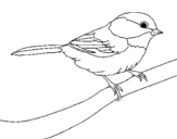 Coloring page Little bird painted byyuan