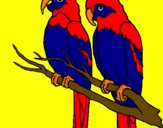 Coloring page Parrots painted bymichele