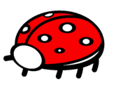 Coloring page Ladybird painted byCATA