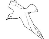 Coloring page Seagull painted byyuan