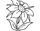 Coloring page Wild flower painted byFOFO