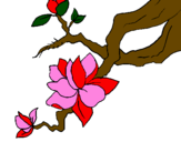 Coloring page Almond flower painted bySpring blosooms