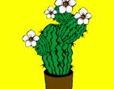 Coloring page Cactus flowers painted bylove