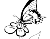 Coloring page Butterfly on flower painted byyuan