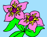 Coloring page Flowers painted bysarah