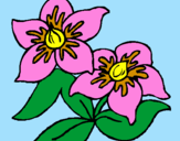 Coloring page Flowers painted bychloe