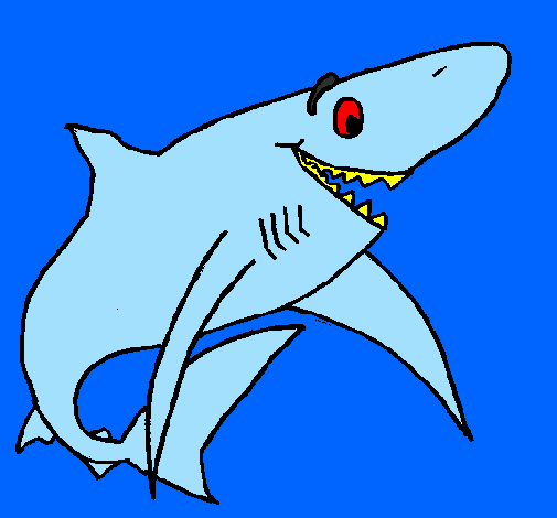 Happy shark