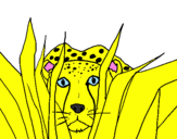 Coloring page Cheetah painted bymax c