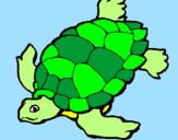 Coloring page Turtle painted bysara