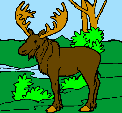 Coloring page Moose painted byMOOSEY