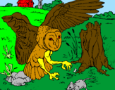 Coloring page Owl hunting painted by?????