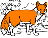 Coloring page Fox painted bygabriel viana