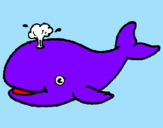 Coloring page Whale shooting out water painted byhaleigh