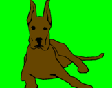 Coloring page Great dane lying down painted byhaleigh