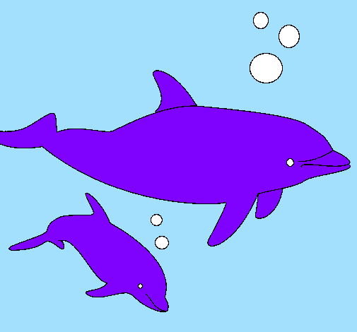 Coloring page Dolphins painted byhaleigh