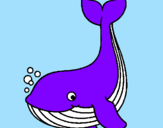 Coloring page Little whale painted byhaleigh
