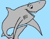 Coloring page Happy shark painted byhaleigh