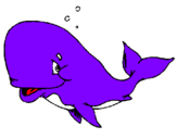 Coloring page Bashful whale painted byhaleigh