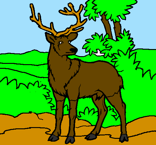 Coloring page Adult deer painted byhaleigh