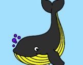 Coloring page Little whale painted byluis