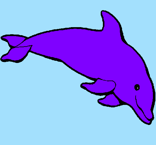 Coloring page Happy dolphin painted byhaleigh