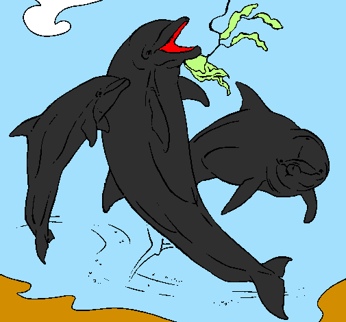 Coloring page Dolphins playing painted byhaleigh