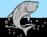 Coloring page Shark painted byhaleigh