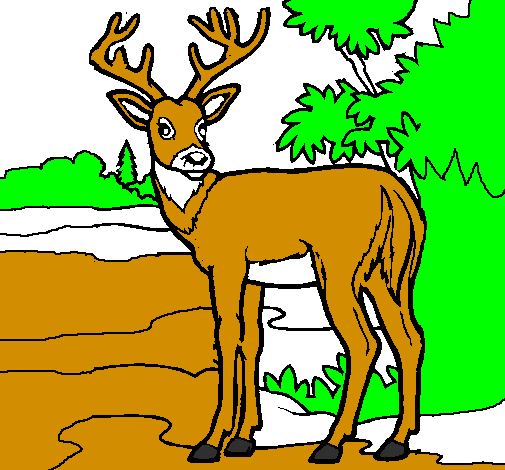 Coloring page Young deer painted byhaleigh