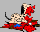 Coloring page Naughty dalmatian painted byluis