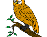 Coloring page Barn owl painted bychloe and jack