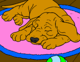 Coloring page Sleeping dog painted byHope 