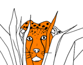 Coloring page Cheetah painted byrtyuio