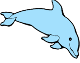 Coloring page Happy dolphin painted bymihaiel