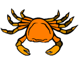 Coloring page Sea crab painted byfer