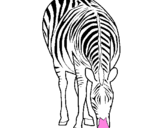 Coloring page Zebra painted by train for grace