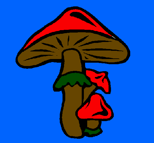 Coloring page Mushrooms painted bycarmelilla