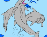 Coloring page Dolphins playing painted bykyla 