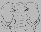 Coloring page African elephant painted byClhoe