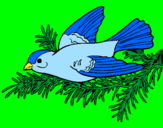 Coloring page Swallow painted bykyla 