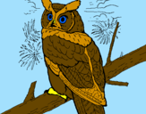 Coloring page Great horned owl painted bykyla