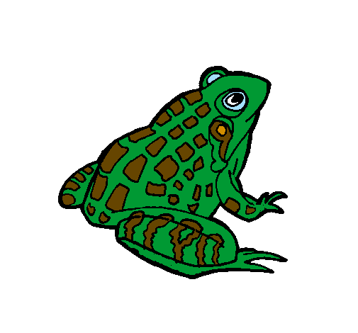 Coloring page Frog painted bybub