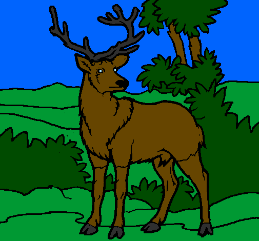 Coloring page Adult deer painted bykyla