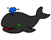 Coloring page Whale shooting out water painted bybeth